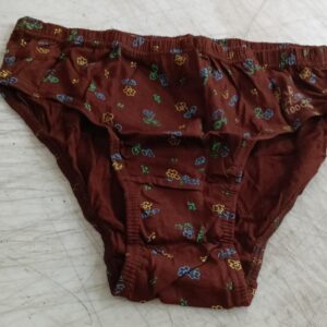 Women Brown Printed Panty Size L Pack Of 2