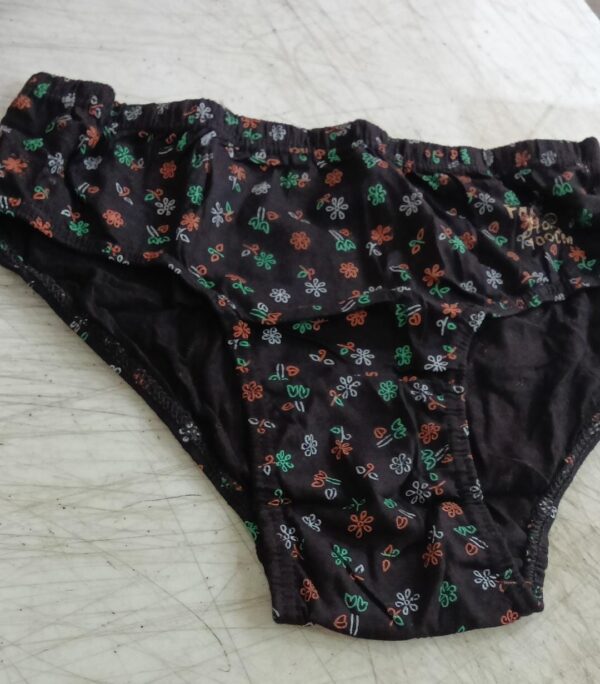 Women Brown Printed Panty Size L