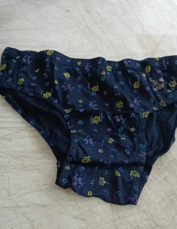 Women Blue Printed Panty Size L Pack Of 2
