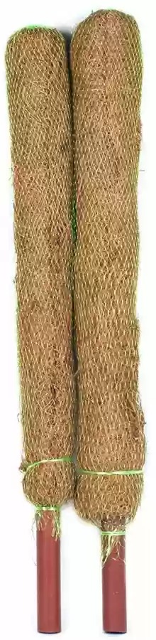Bio Blooms Coco Pole Moss And Coir Stick For Indoor Garden Mulch Pack Of 2