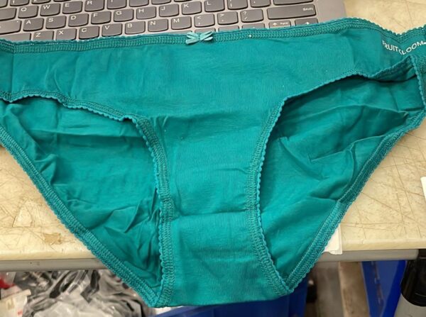 Fruit Of The Loom Women Teal Color Panty Size M