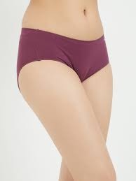 Fruit Of The Loom Women Purple Colour Panty Size Xl