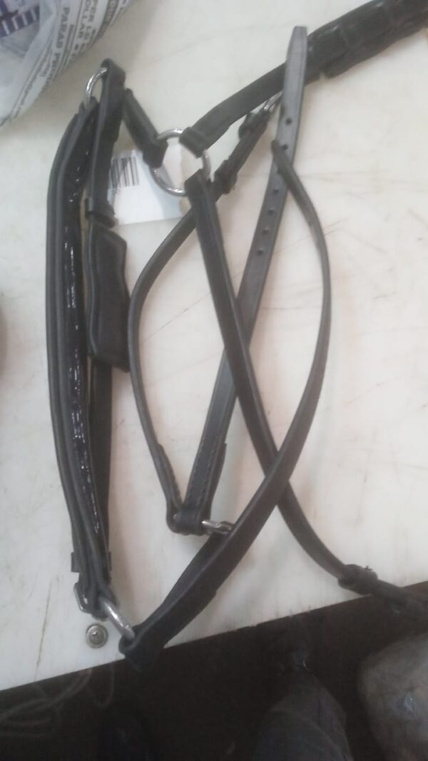 Biothane Bridle For Horses With Reins Black