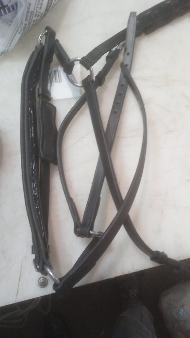 Biothane Bridle For Horses With Reins Black