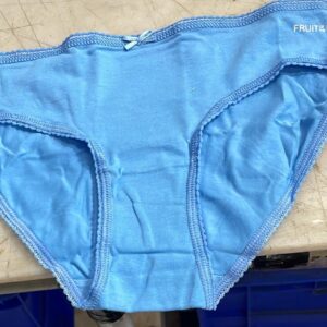 Fruit Of The Loom Women Sky Light Color Panty Size M
