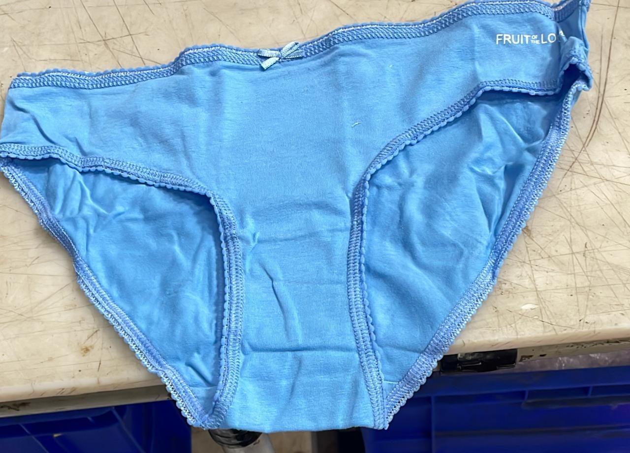 Fruit Of The Loom Women Sky Light Color Panty Size M