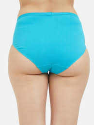 Fruit Of The Loom Sky Blue Woman Panty Size L