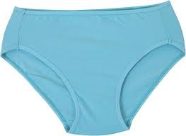 Fruit Of The Loom Women Sky Blue Colour Panty Size L