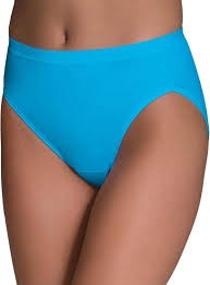 Fruit Of The Loom Women Blue Colour Panty Size M