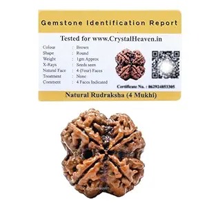 Crystal Heaven 4 Mukhi Rudraksha With Original Certified