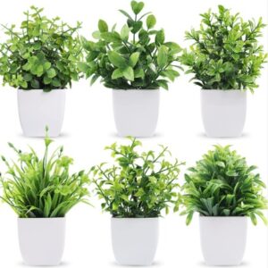 Artificial Small Plants For Home Decor Pack Of 6