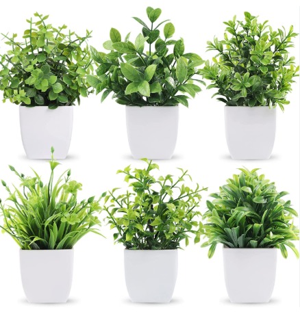 Artificial Small Plants For Home Decor Pack Of 6