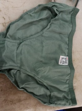 Women Panty Green Color Size 2Xl