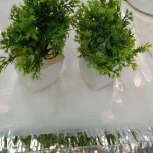 Artificial Plant With Pot Set Of 2
