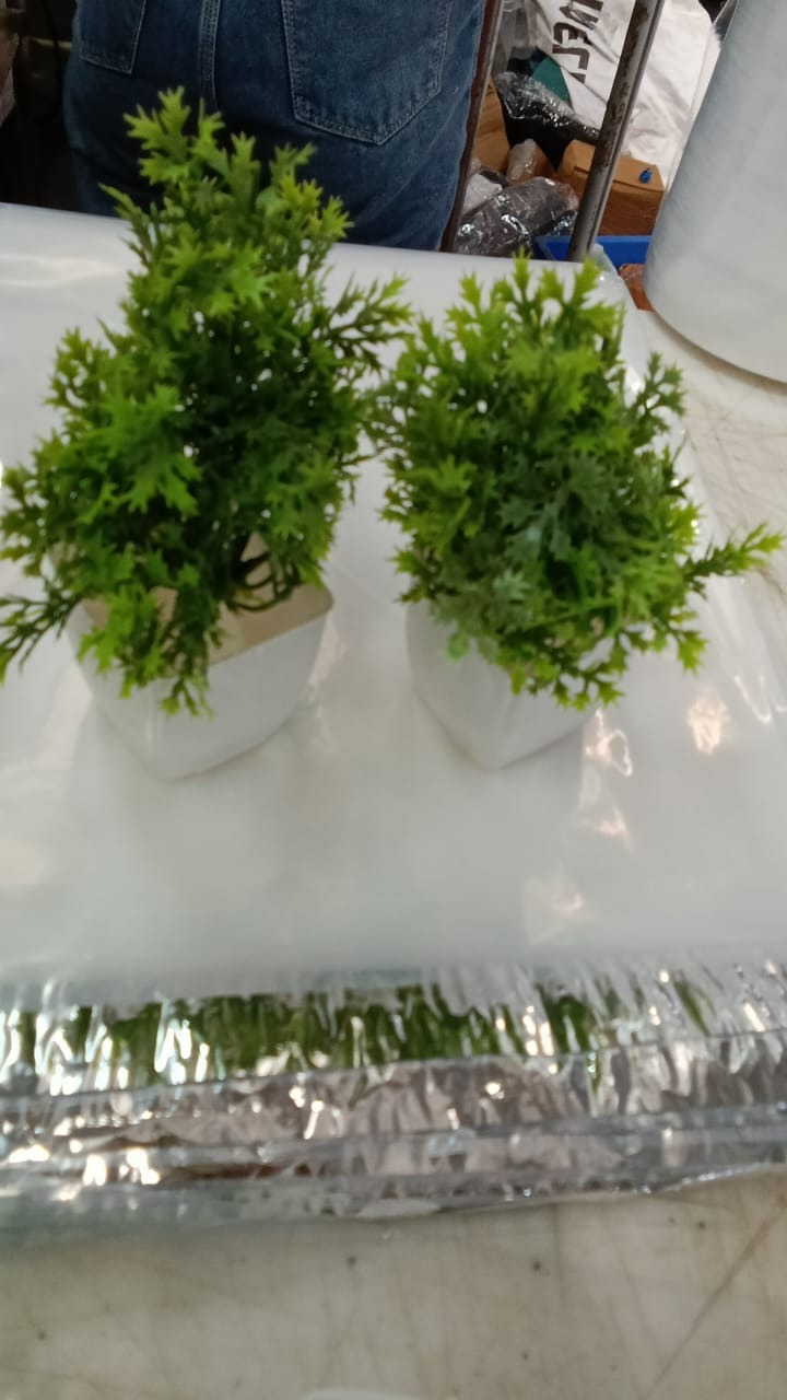 Artificial Plant With Pot Set Of 2