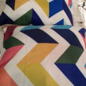 Multicolor Pillow Pack Of 2