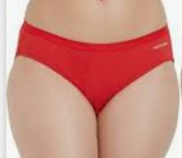 Fruit Of The Loom Womens Panty Size M Maroon