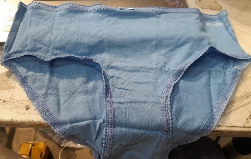 Fruit Of The Loom Womens Panty Sky Blue Size M
