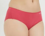 Fruit Of The Loom Womens Panty Pink Size M