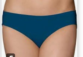 Fruit Of The Loom Womens Panty Blue Size M