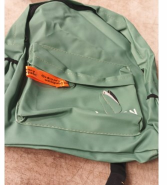 Green Backpack For Women Colleges Or Office