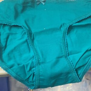 Fruit Or The Loom Women Teal Color Panty Size Xxl