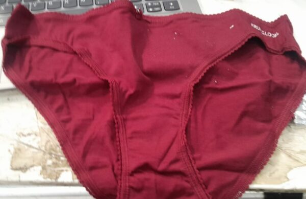 Fruit Of The Loom Womens Panty Size Xl Maroon