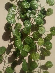 Samriddhi Artificial Hanging Creeper Plant For Wall Decoration