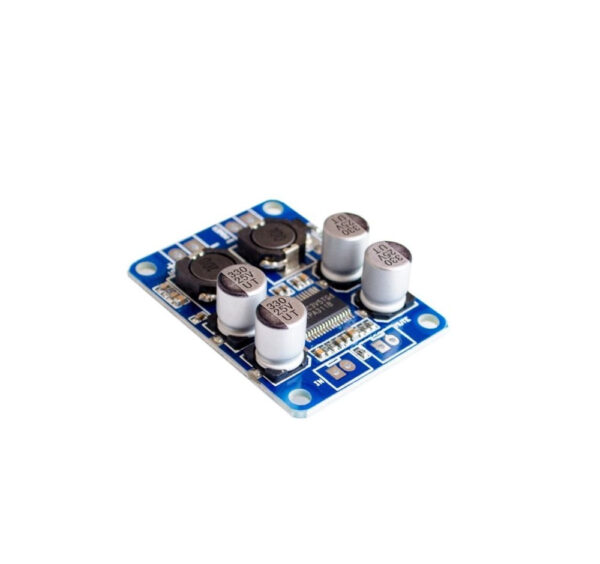 Private Label Mono Digital Amplifier Board