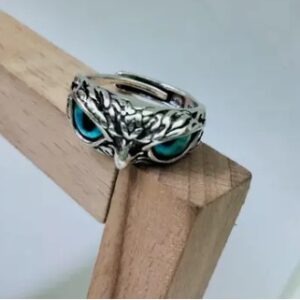 Steel Owl Eye Ring For Men  Silver colour