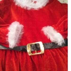 Baby Girl Christmas Outfit Long Sleeve Red Velvet Princess Dress Fur Trim and Belt Baby Santa Outfit