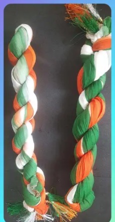 26 January Tiranga Dupatta Voguish Attractive Women Dupattas