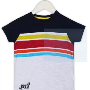 Boys Colorblock Pure Cotton Regular T Shirt