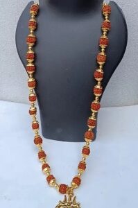 5 Mukhi Rudraksha With Brass Gold Cap Premium Trishul Pendant Chain