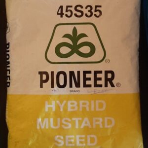 Pioneer Hybrid Mustard Seeds 1 Kg
