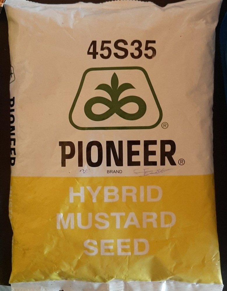 Pioneer Hybrid Mustard Seeds 1 Kg