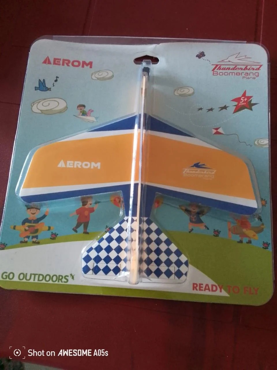 Aerom Thunderbird Boomerang Plane