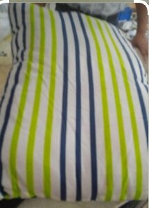 Multicolour Microfiber Printed Pillow