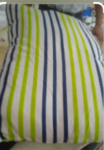 Multicolour Microfiber Printed Pillow