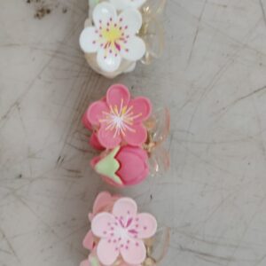 Women Multicolor Hair Clip Pack Of 3