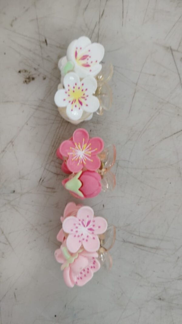Women Multicolor Hair Clip Pack Of 3