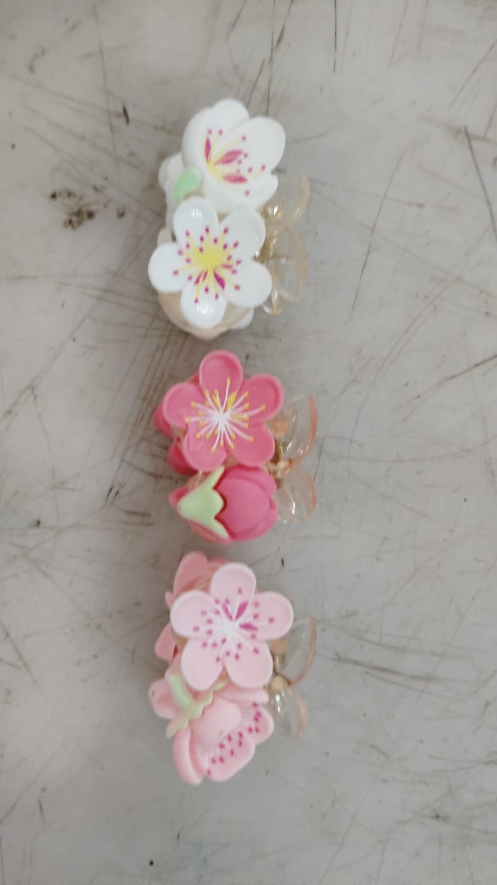 Women Multicolor Hair Clip Pack Of 3