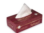 Beeta Exquisite Face Tissue Fish 100 Pulls
