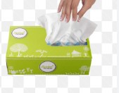 Beeta Exquisite Face Tissue Fish 100 Pulls