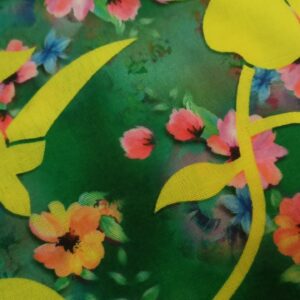 Ladies Saree Color Green