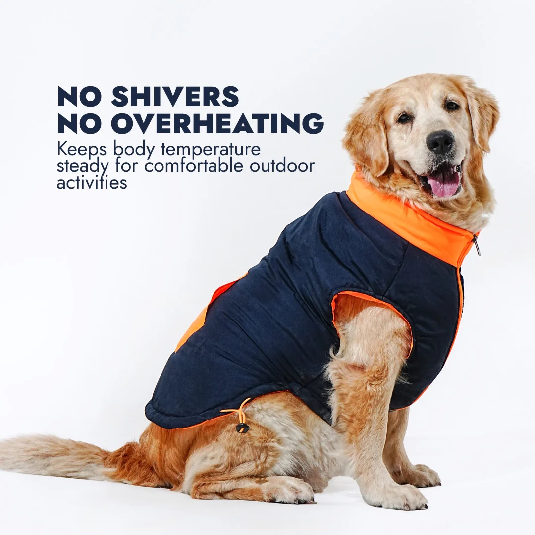 Pawfect Shield Puffer Dog Jacket Blue And Orange