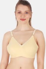 Souminie Cream Color Bra Size 100B