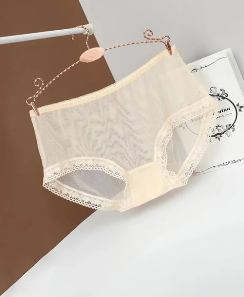 Womens Skin Color Net Panty Size M