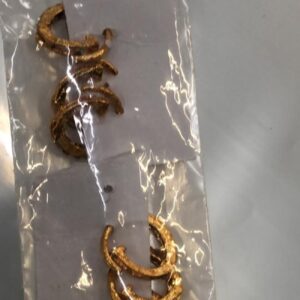 Golden Color Men Earrings