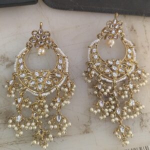 Women Stylish Earrings